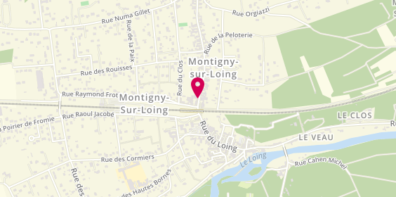 Plan de ROY Pascal Michel, 3 Rue Renée Montgermont, 77690 Montigny-sur-Loing