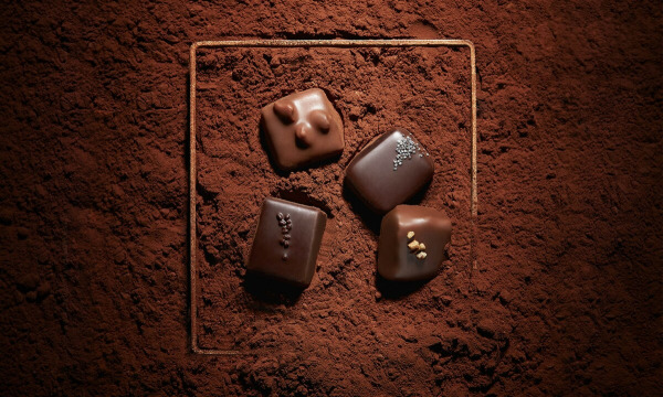 Chocolats Yves Thuries - 40100 Dax